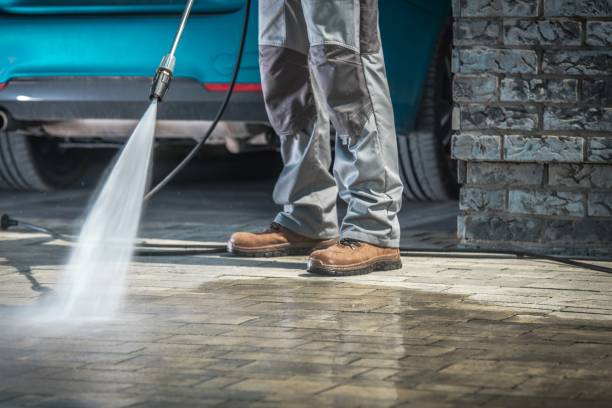 Best Driveway Pressure Washing  in Lockport Heights, LA